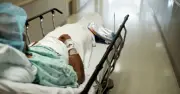 White House Shuts Down Organ Donation Group Over Safety Failures