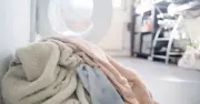 White vinegar beats baking soda and no conditioner in towel smell test