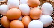 White vs Brown Eggs: Experts Reveal the True Difference