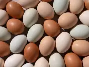 White vs Brown Eggs: The Real Difference, Explained