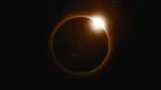 Why dogs act strangely during a solar eclipse - and how to keep them safe