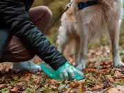 Why Dogs Kick Back Legs After Pooing: Scent Communication