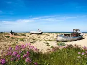 Why Dungeness is the UK's bleakest but most beautiful seaside town