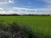 Wigan Greenbelt Victory: Four Sites Removed from Local Plan