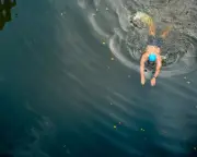 Wild Swimming Linked to Higher Risk of Stomach Bugs and Rashes