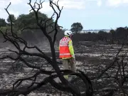 Wildfire expert warns UK faces 'new normal' of devastating blazes
