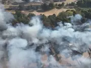 Wildfire in Stourbridge injures two, destroys six homes