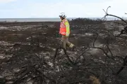 Wildfire total for 2026 in England and Wales reaches same as whole of last year