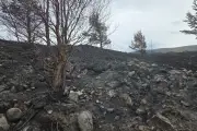 Wildfire warning issued for parts of Scotland