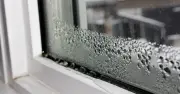 Windows stay condensation-free all winter with 1 item