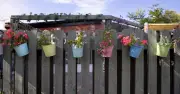 Woman Furious as Neighbor Demands Fence Move Over View