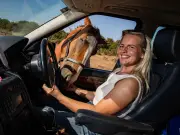 Woman gets free Range Rover after Facebook horse swap plea