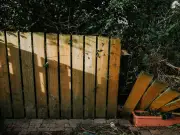 Woman Refuses Neighbour's Demand to Move Fence Six Feet