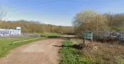 Woman sexually assaulted in broad daylight at country park