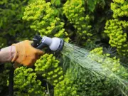 Woman Shocked by Neighbour's Stern Reaction to Accidental Hosepipe Use
