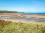 Woman stung in eye by jellyfish off Anglesey coast