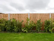 Woman Uncomfortable as Nosey Neighbour Watches Her Over Garden Fence