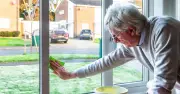 Woman's £1 hack stops window condensation for weeks, not rock salt
