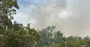 Woolwich fire: Firefighters battle blaze near Woolwich Common
