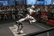 World Robot Conference 2026: MMA bots and mechanical dogs