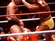 Wrestling Cards Changed: Hogan, Flair, Michaels, Undertaker