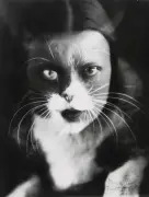Wulz sisters: the photographers who defied fascist Italy with their cat