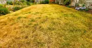 Yellow lawns will grow back greener if gardeners do one crucial task in August