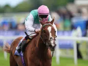 York Ebor Festival 2026: Newsboy's Day One Tips and Predictions