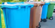 Your legal rights if a neighbour steals your bin