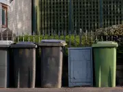 Your rights if council misses bin collection and when they may still not come back