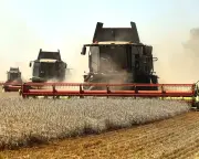 Zelenskyy warns Egypt of food supply threat from Russian strikes