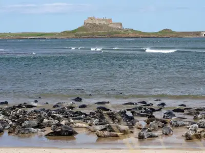 7 secluded Northumberland beaches to escape the crowds