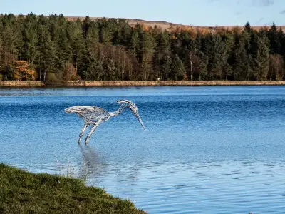 Autumn Reservoir Walk Near Manchester Compared to Canada