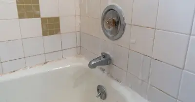 Bathroom mould disappears overnight with 2 staple items
