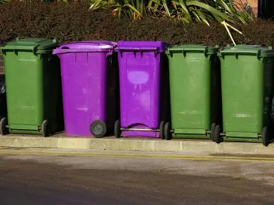 Binman's simple tip for knowing what goes in each bin