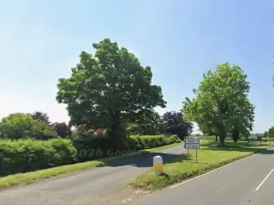 Boy, 16, dies in crash as car hits tree; teen driver arrested