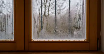 Cat litter in a sock removes window condensation, Mrs Hinch fans say