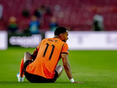 Cody Gakpo injury: Expert gives Liverpool winger timeframe after Netherlands return