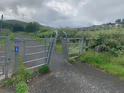 Dog walker hospitalised after Maesteg attack by three dogs