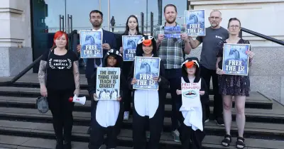Express 'Free the 15' campaign nominated for top award