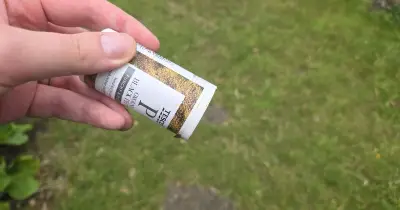Gardeners urged to scatter black pepper in garden for two key reasons