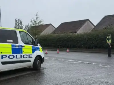 Girl, 13, hospitalised after being hit by car outside school