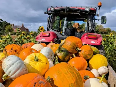 Greater Manchester pumpkin patch named among UK's best at £6 a car