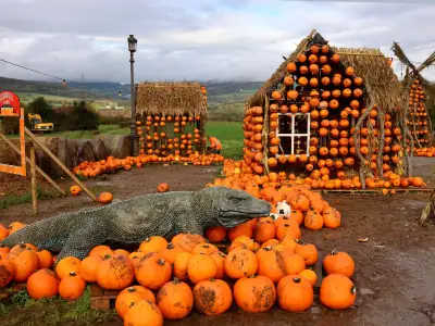 Halloween 2026 Cardiff events to book now: pumpkins, mazes and monsters