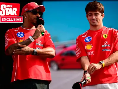 Hamilton and Leclerc Ferrari pairing concerns raised