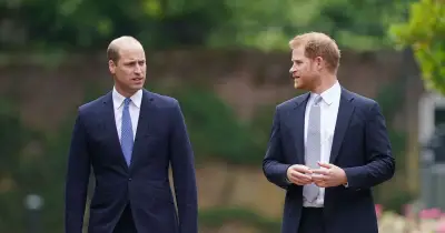 Harry and William's feud: cousins 'likely never met'