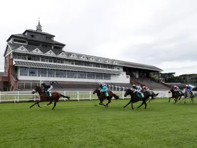 Hatamoto tipped for Thirsk NAP as McWhinny backed at Sedgefield