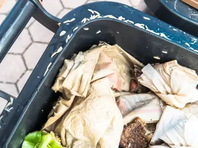Kill maggots instantly with 65p kitchen staple you can add to bins now
