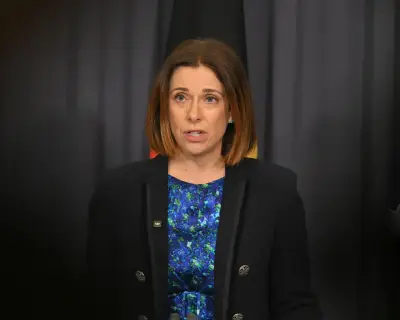 Labor's social media algorithm crackdown faces opposition