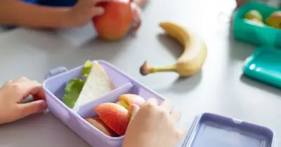 Lunch boxes to be policed in Labour's school food crackdown